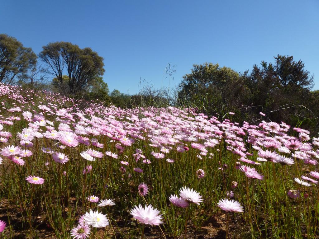Pelican'S Nest Kalbarri Exterior photo